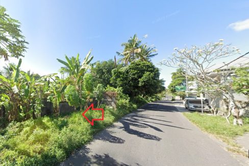 Jual Tanah di Gianyar Bali Dekat RS Kasih Ibu Saba, Pantai Saba, Pantai Keramas, Ubud Bali, The Amazing Taman Safari Bali, Bali Zoo, Bali Bird Park 0005