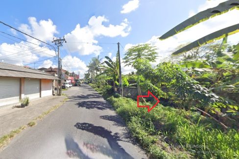 Jual Tanah di Gianyar Bali Dekat RS Kasih Ibu Saba, Pantai Saba, Pantai Keramas, Ubud Bali, The Amazing Taman Safari Bali, Bali Zoo, Bali Bird Park 0006