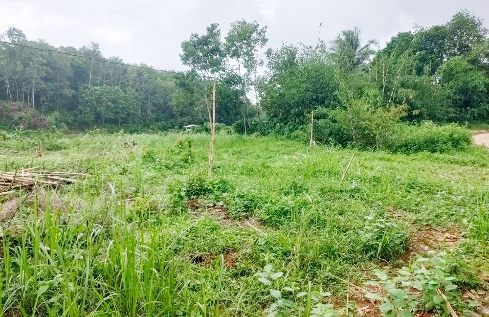 Jual Tanah di Jasinga Bogor Dekat SDN Koleang 03 Jasinga, Puskesmas Koleang, Pasar Jasinga 0004