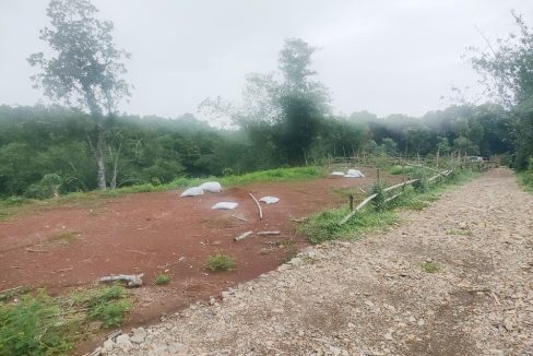 Jual Tanah di Jasinga Bogor Dekat SDN Koleang 03 Jasinga, Puskesmas Koleang, Pasar Jasinga 0010