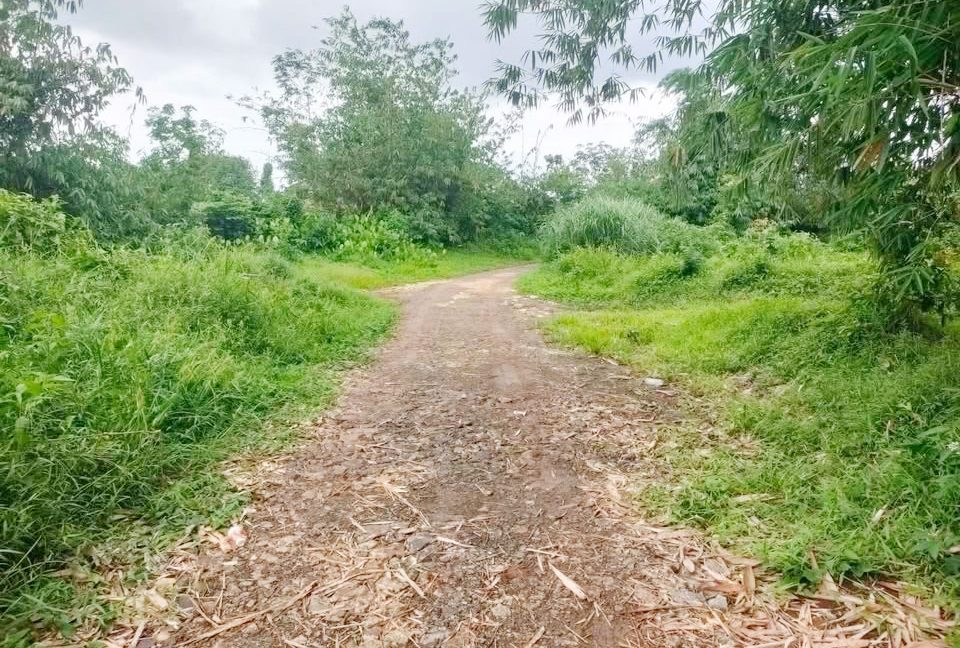 Jual Tanah di Jasinga Bogor Dekat SDN Koleang 03 Jasinga, Puskesmas Koleang, Pasar Jasinga 0012