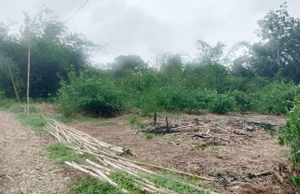 Jual Tanah di Jasinga Bogor Dekat SDN Koleang 03 Jasinga, Puskesmas Koleang, Pasar Jasinga 0014