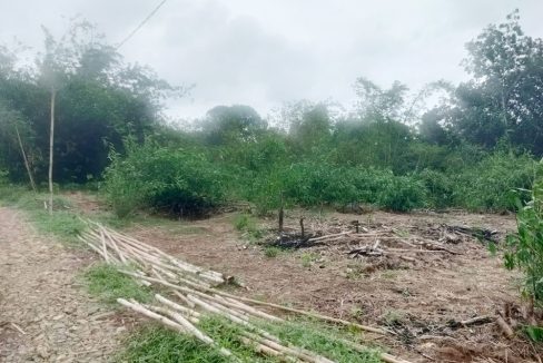 Jual Tanah di Jasinga Bogor Dekat SDN Koleang 03 Jasinga, Puskesmas Koleang, Pasar Jasinga 0014