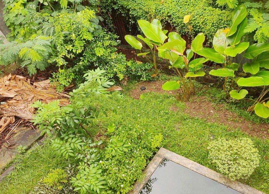 Rumah Dijual di Kota Cilegon Dekat RS. Krakatau Medika, Transmart Cilegon, CitiMall Cilegon 0016