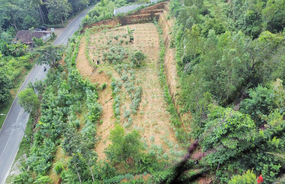 Jual Tanah di Gunung Kidul Yogyakarta Dekat HeHa Sky View, Bukit Bintang 0006
