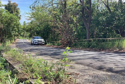 For Sale Premium Land with Ocean Views in Buleleng, Bali 0002