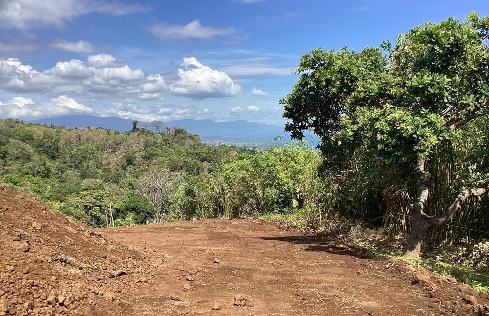 For Sale Premium Land with Ocean Views in Buleleng, Bali 0015