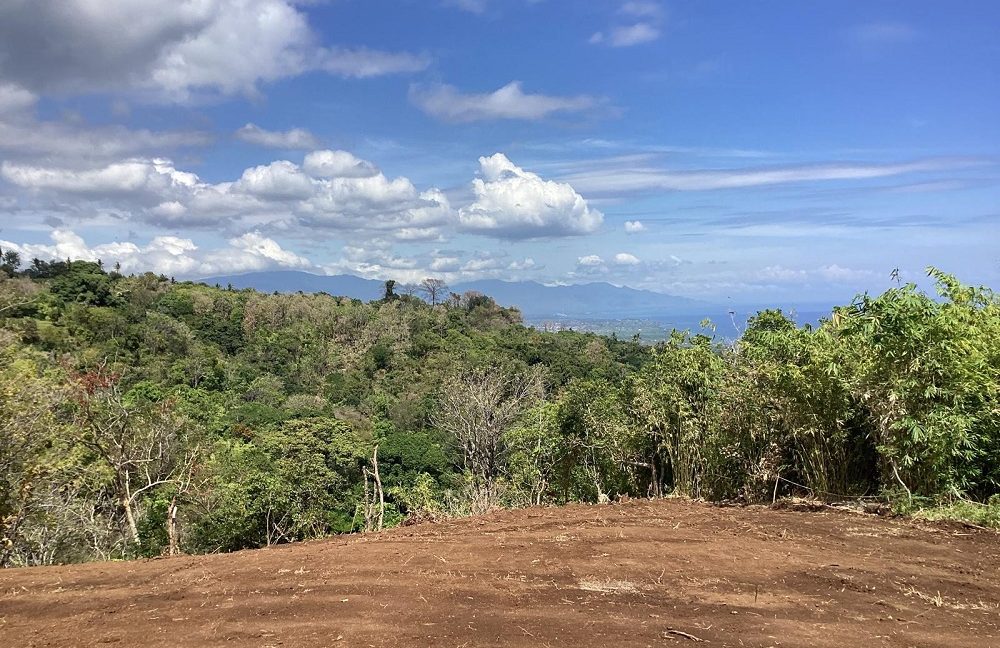 For Sale Premium Land with Ocean Views in Buleleng, Bali 0017