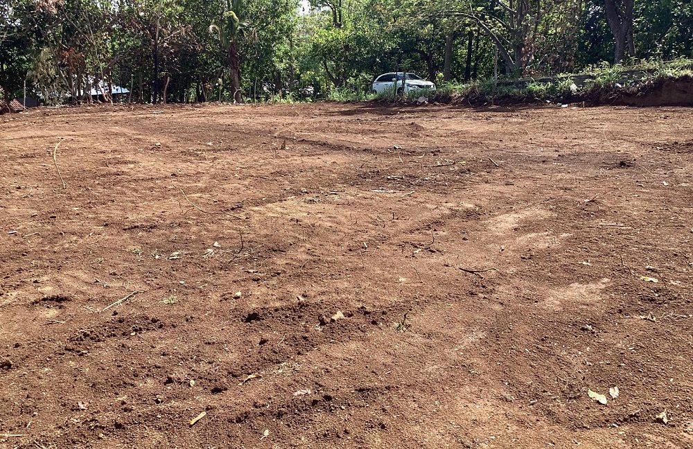 For Sale Premium Land with Ocean Views in Buleleng, Bali 0025