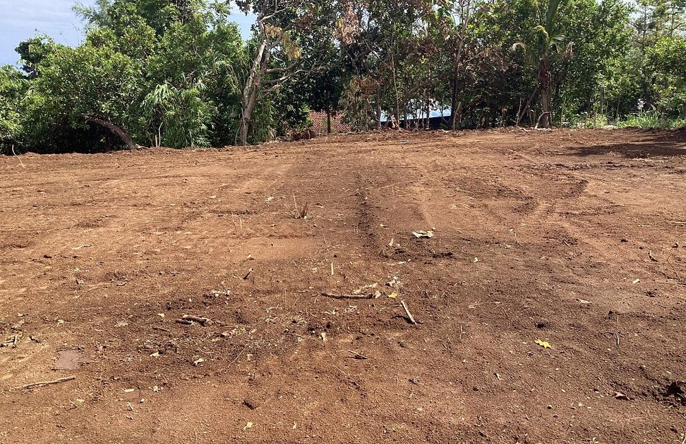 For Sale Premium Land with Ocean Views in Buleleng, Bali 0027