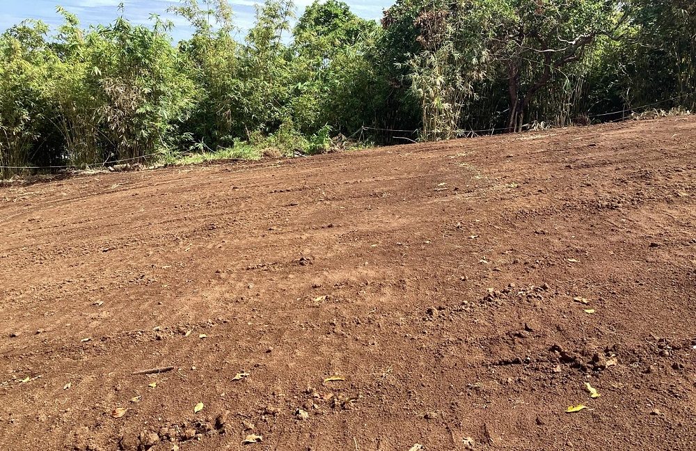 For Sale Premium Land with Ocean Views in Buleleng, Bali 0028