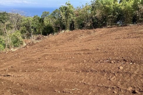 For Sale Premium Land with Ocean Views in Buleleng, Bali 0029