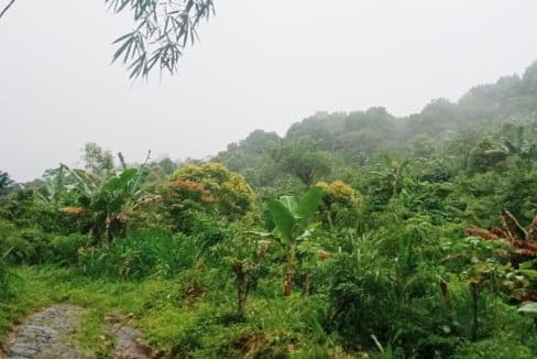 Tanah Dijual di Buleleng Bali 0002