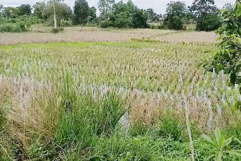 Tanah Dijual di Banjar Kalimantan Selatan 0001