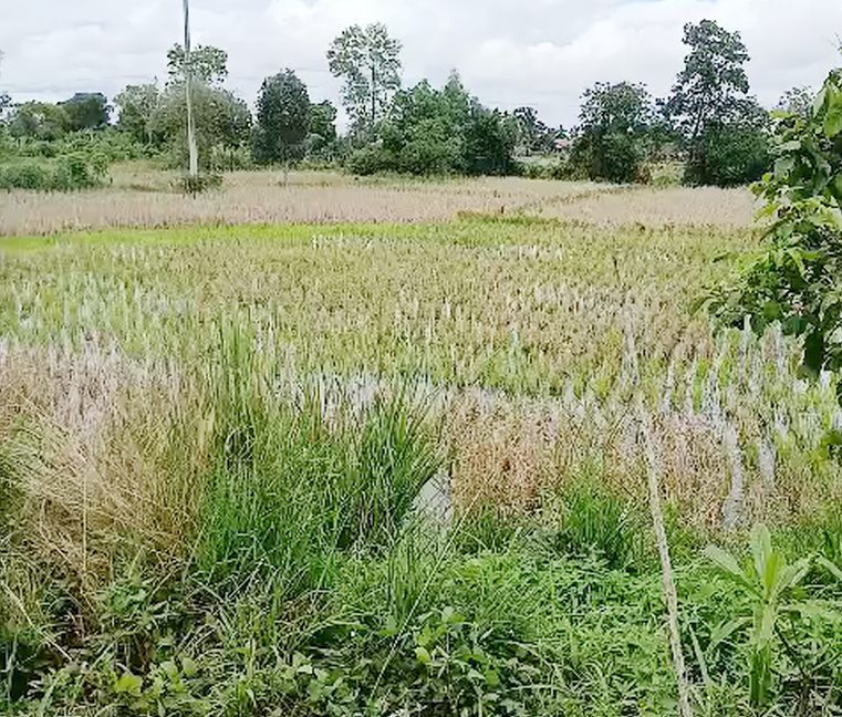 Tanah Dijual di Banjar Kalimantan Selatan 0001