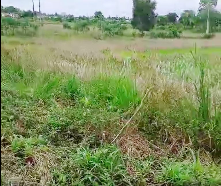 Tanah Dijual di Banjar Kalimantan Selatan 0002