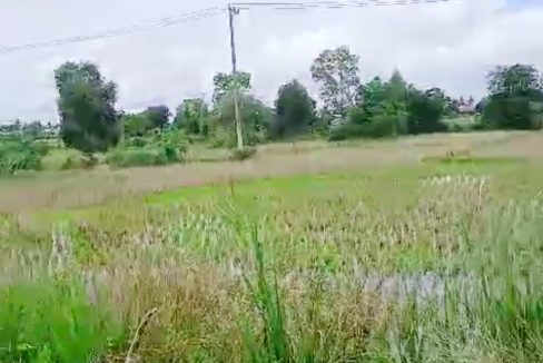 Tanah Dijual di Banjar Kalimantan Selatan 0003