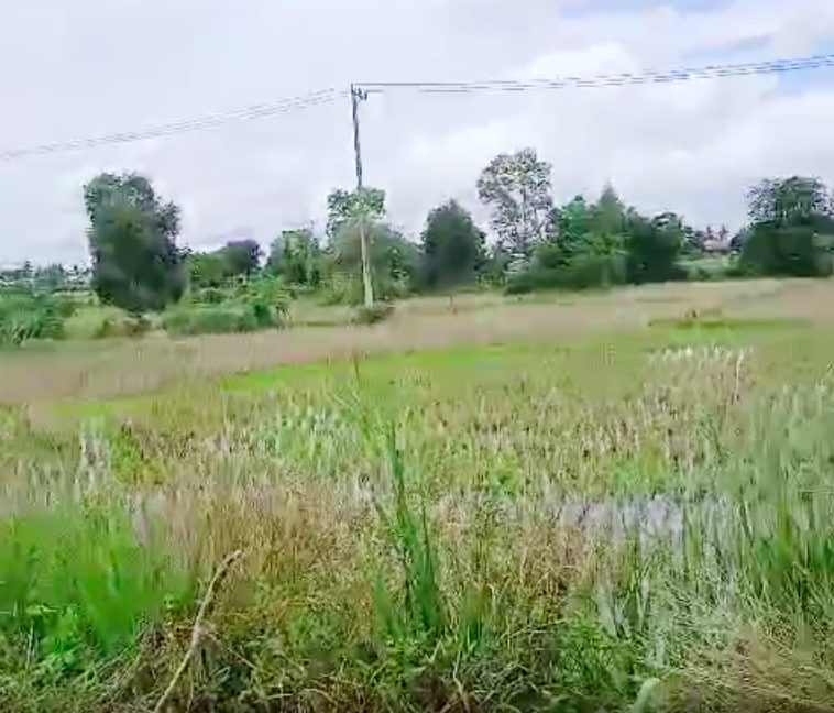 Tanah Dijual di Banjar Kalimantan Selatan 0003