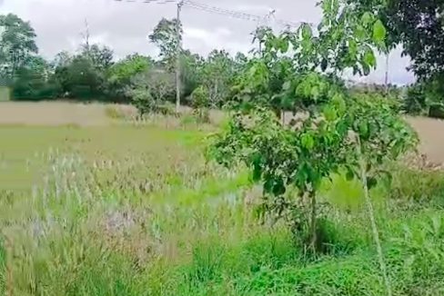 Tanah Dijual di Banjar Kalimantan Selatan 0004