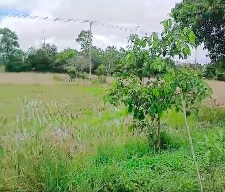 Tanah Dijual di Banjar Kalimantan Selatan 0004