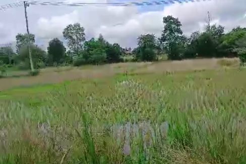 Tanah Dijual di Banjar Kalimantan Selatan 0005