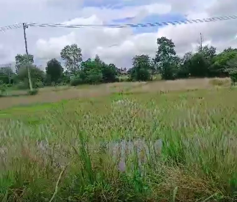 Tanah Dijual di Banjar Kalimantan Selatan 0005