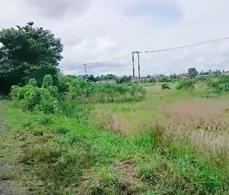 Tanah Dijual di Banjar Kalimantan Selatan 0006