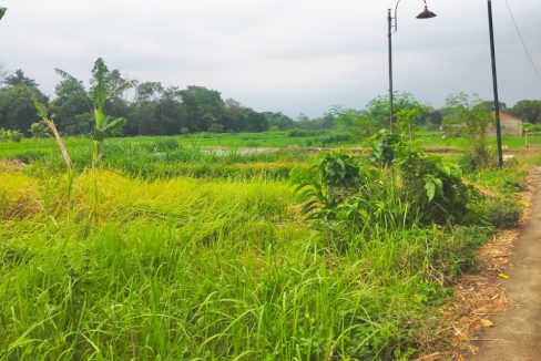 Tanah Dijual di Yogyakarta Dekat UNRIYO, UPN Veteran Yogyakarta, Pakuwon Mall Jogja 0001