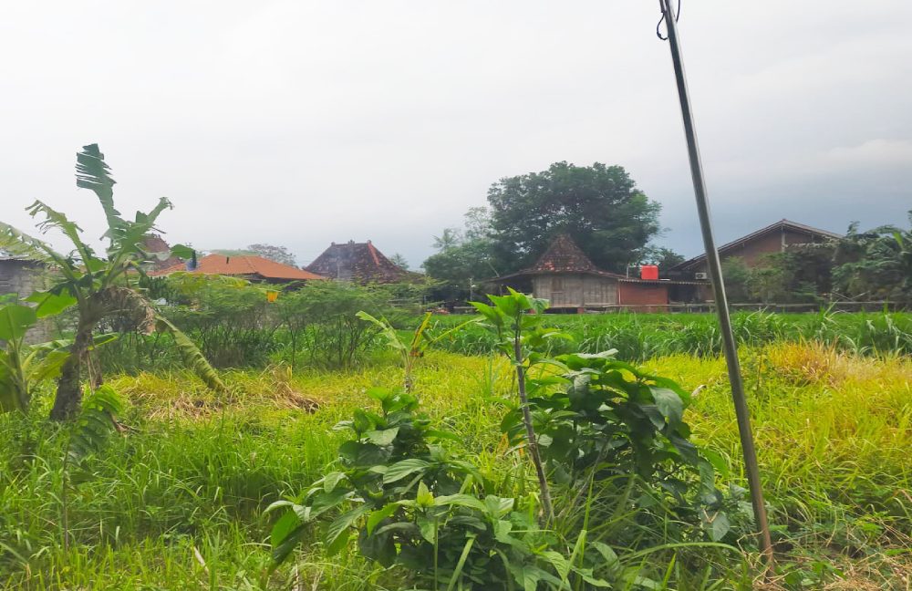 Tanah Dijual di Yogyakarta Dekat UNRIYO, UPN Veteran Yogyakarta, Pakuwon Mall Jogja 0002