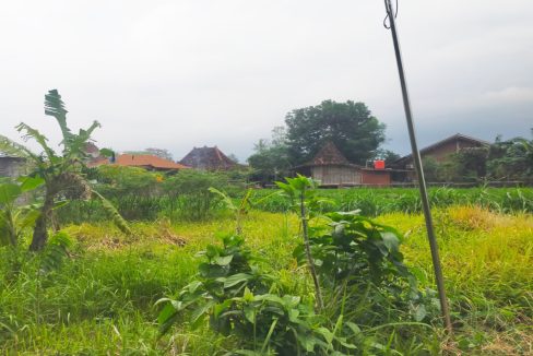 Tanah Dijual di Yogyakarta Dekat UNRIYO, UPN Veteran Yogyakarta, Pakuwon Mall Jogja 0002